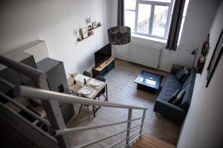 Le Passementier, T2 duplex grand volume parking souterrain wifi Netflix - Saint Etienne - 9
