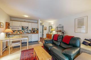 Snow Run Studio - Ketchum - 9