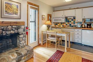 Snow Run Studio - Ketchum - 7