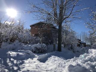 Chalet individuel pied des pistes 8 personnes - 0