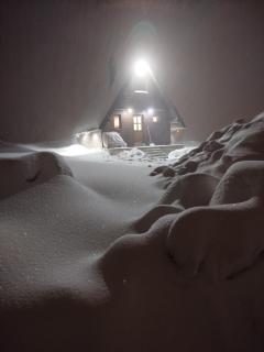 Brown cabin - Žabljak - 9