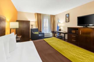 Sonesta Essential NW Houston - Houston - 1