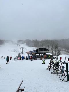 Stylish Forest Lodge with Large Hot Tub, Firepit and Fireplace minutes to Gore Mountain - 5