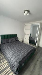 Palko Residence 2 - Ocna Mureş - 5