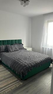 Palko Residence 2 - Ocna Mureş - 4