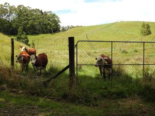 The Lookout- Clevedon - 9