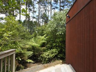 The Lookout- Clevedon - 8