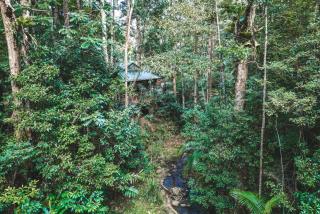 Narrows Escape Rainforest Retreat - Montville - 0