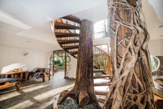 Villa Nautilus Treehouse - Ubud - 7