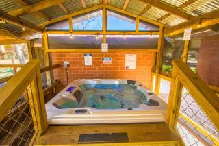Waterfront Sweet Medicine Treehouse - Seguin - 3