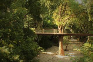 Treehouse 1 Mockingbird Lodge - New Braunfels - 1