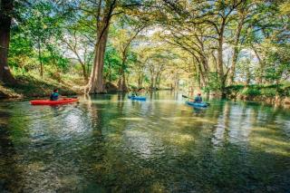 Treehouse 2 - Cardinal Casita - New Braunfels - 1