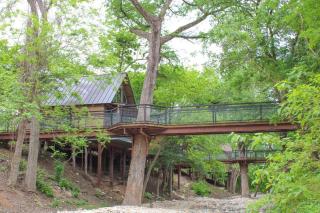 Treehouse 3 - Mourning Dove Haus - New Braunfels - 9