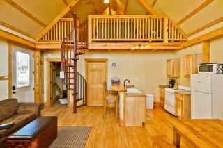 Treehouse 3 - Mourning Dove Haus - 8