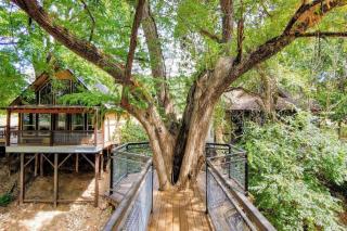 TH 4 - Whippoorwill Haus - New Braunfels - 6