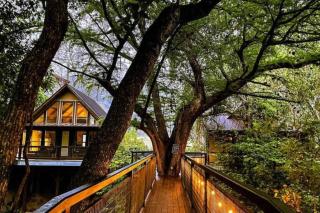 TH 4 - Whippoorwill Haus - 5