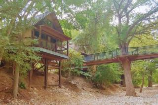 TH 4 - Whippoorwill Haus - New Braunfels - 4