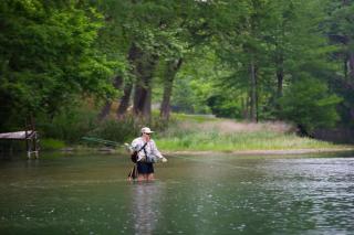 TH 4 - Whippoorwill Haus - New Braunfels - 3
