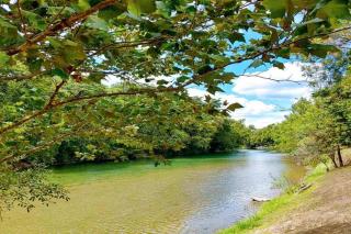 Treehouse 6 - Birdseye Perch - New Braunfels - 4