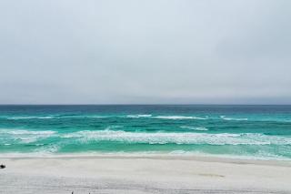 The Sand Dollar C401 - Santa Rosa Beach - 7