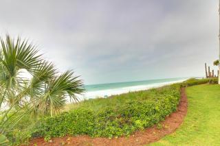 The Sand Dollar C401 - Santa Rosa Beach - 5