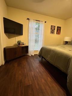 That 70s House - Houston - 2