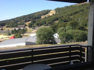 Studio confortable au pied des pistes avec balcon et parking - FR-1-814-3 - Besse-et-Saint-Anastaise - 4