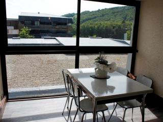 Studio cosy avec Wi-Fi au centre de Super Besse - FR-1-814-33 - Besse-et-Saint-Anastaise - 8
