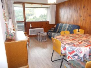 Spacieux Appartement au Pied des Pistes - FR-1-814-21 - Besse-et-Saint-Anastaise - 9