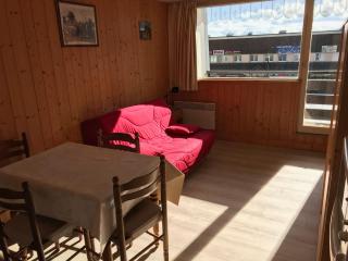 Studio 4 pers au pied des pistes avec WIFI - FR-1-814-37 - Besse-et-Saint-Anastaise - 8