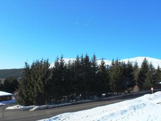 Confort fonctionnel, navette au pied, proche centre & pistes - FR-1-814-29 - Besse-et-Saint-Anastaise - 9