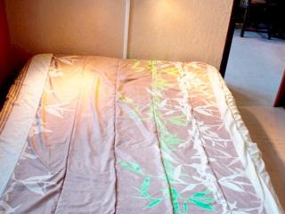 Confort fonctionnel, navette au pied, proche centre & pistes - FR-1-814-29 - Besse-et-Saint-Anastaise - 2