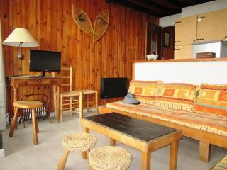 Appartement coeur de station avec parking privé à Super Besse - FR-1-814-47 - Besse-et-Saint-Anastaise - 0