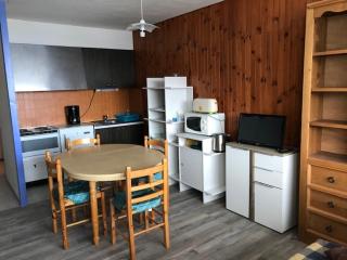 Appartement 2 pièces vue montagne, proche pistes et lac - FR-1-814-64 - Besse-et-Saint-Anastaise - 8