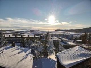 Appartement 2 pièces vue montagne, proche pistes et lac - FR-1-814-64 - Besse-et-Saint-Anastaise - 1