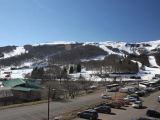 Superbe T2 Cabine avec Terrasse et Parking à Super Besse - FR-1-814-66 - Besse-et-Saint-Anastaise - 0