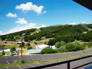 Superbe T2 Cabine avec Terrasse et Parking à Super Besse - FR-1-814-66 - Besse-et-Saint-Anastaise - 6