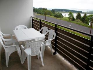 Superbe T2 Cabine avec Terrasse et Parking à Super Besse - FR-1-814-66 - Besse-et-Saint-Anastaise - 1