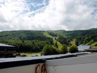 Appartement 4/6 pers. Cœur de station, proche pistes, WIFI - FR-1-814-69 - Besse-et-Saint-Anastaise - 9