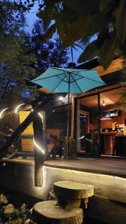 Refugios de bosque en Coñaripe - 5