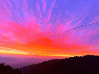 Himalayan Suite - Dharamshala - 7