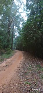 Galamudi Homestay - Sringeri - 6