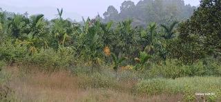 Galamudi Homestay - Sringeri - 5