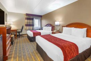 Comfort Inn University Center - Fairfax - 2