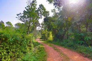 The Grand Retreat - Chikmagalur - 7