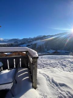 Chalet vue Mont Blanc avec jacuzzi extérieur - 9