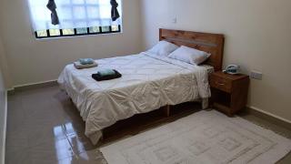 Peafowl Palace - Nanyuki - 1