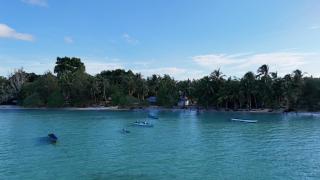 Tumbuh Oasis - 1