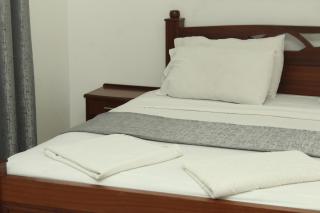 Regency Park Hotel - 1