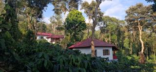 Charming Nest Estate Stay - Virajpet - 0